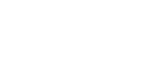 LandSouth Construction (Logo - Highlight)